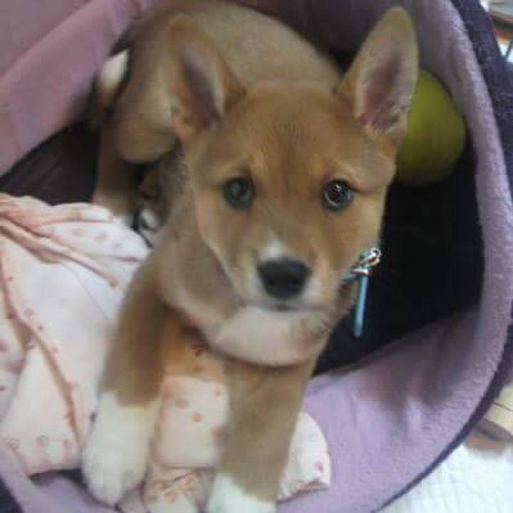 F4bbf249 5edf 4523 8845 259462ba8cbe 1520136859599