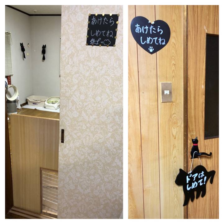 F4bbf5e3 3c0a 4b4f 9463 3d87d5aef077 1660908806066