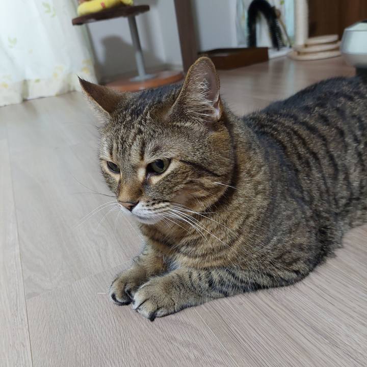 F4bc0419 be89 4f9a 8102 c341f90eff07 1637790279150