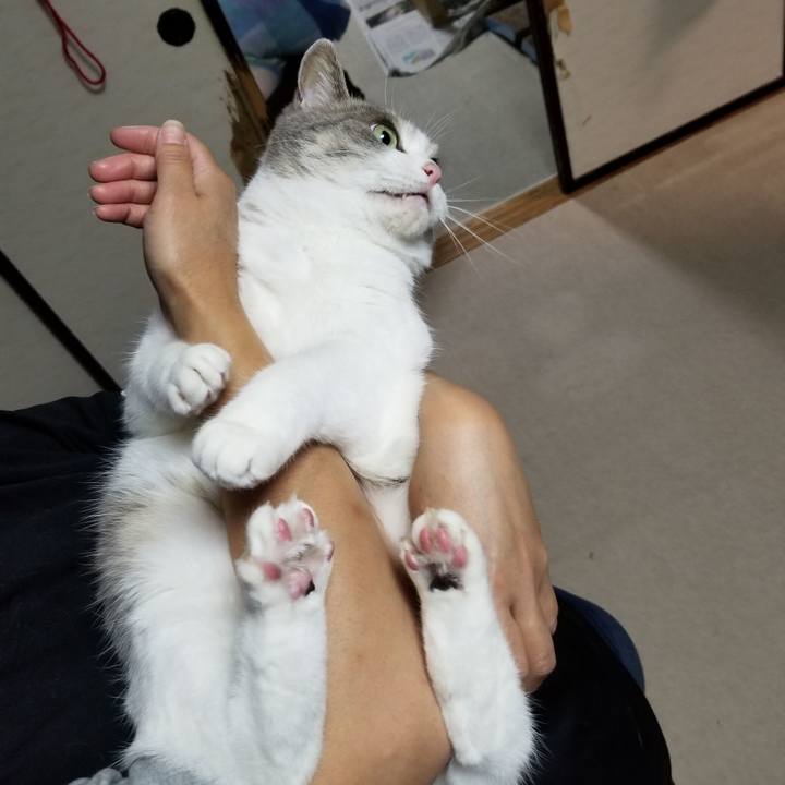 F4bc0f2b 12cd 4ba0 ac81 974c73d7082a 1656683884028