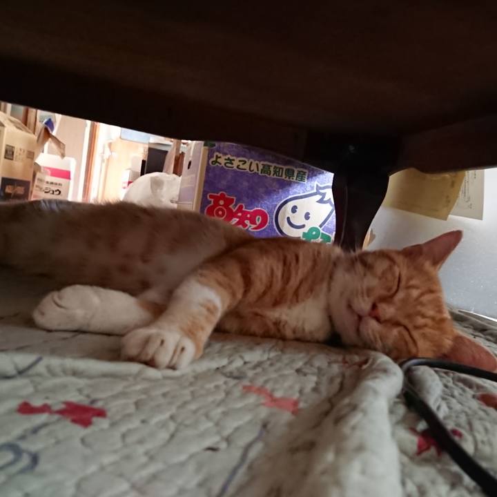 F4bc2a71 3162 4621 a06b 539be348c442 1565395722486