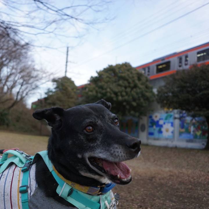 F4bc3965 c1df 430e 9ac8 8cbf2563971a 1769474847375