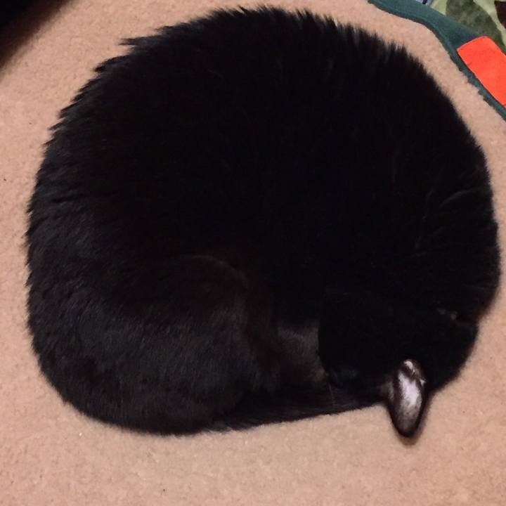 F4bc8c0b 98cb 4b65 819e 3ea4e24660c5 1582119102837