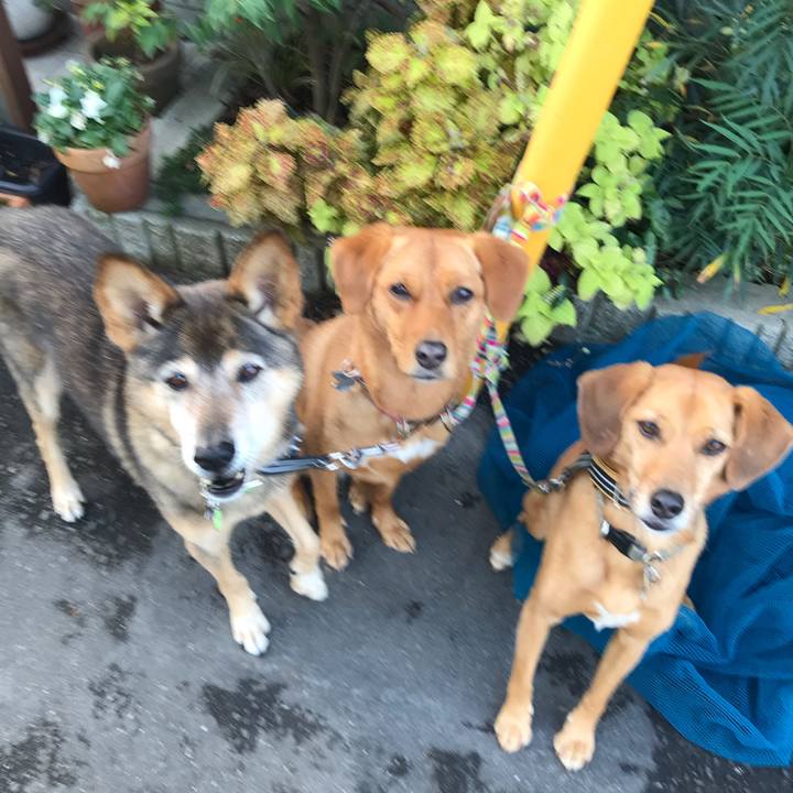 F4bc8e48 4e6c 4764 952f a02229aa0a1f 1543621055097