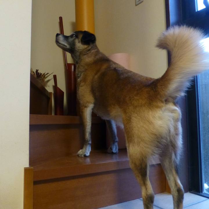 F4bcaecd 1b10 406e bb92 944f6ca95bb5 1614125975115