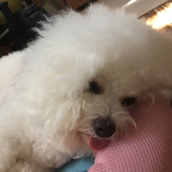 F4bd0517 a959 467d bf66 45c86be4d223 1535330817870