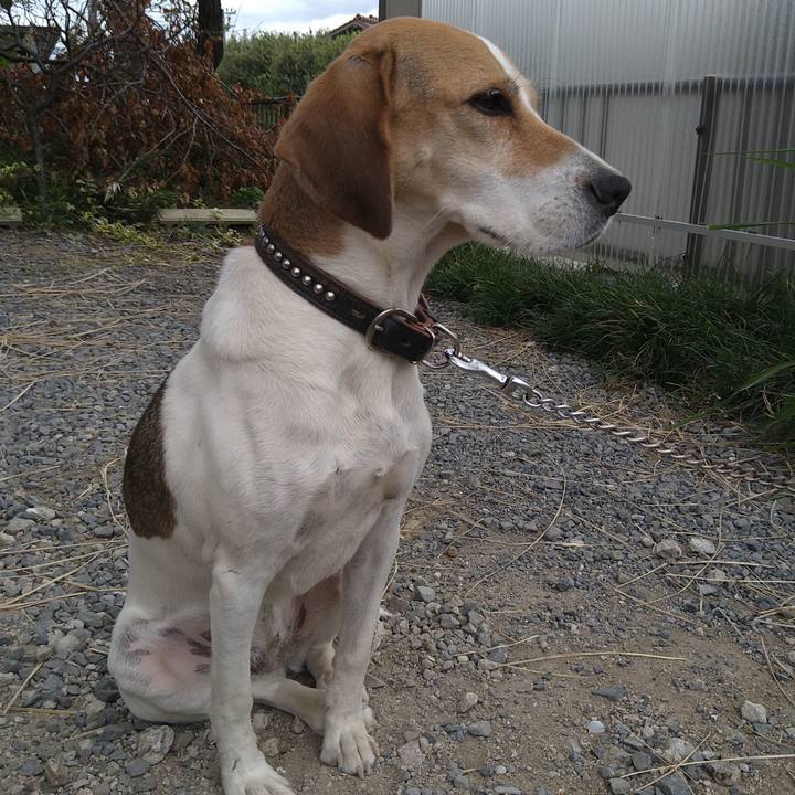 F4bd09a1 8257 4e67 86cf 1db9dc34e5e6 1665021596317