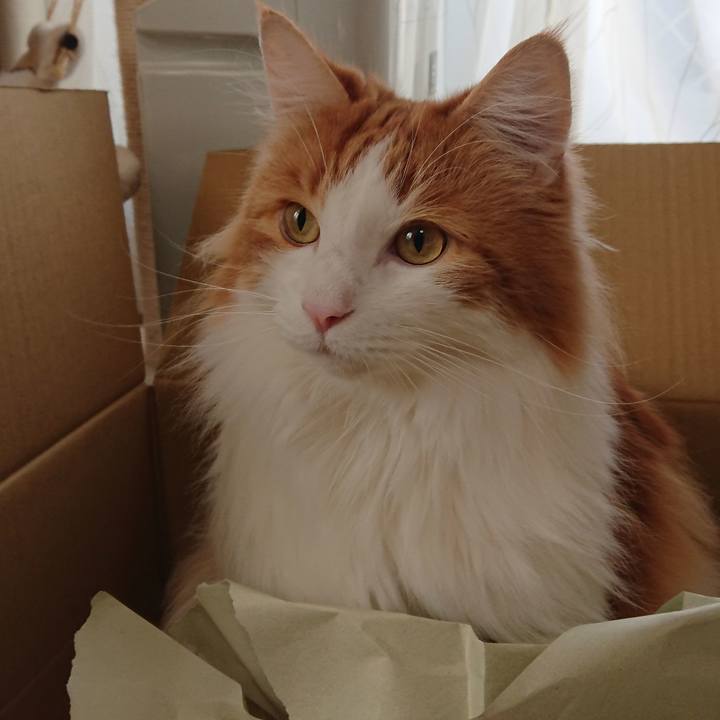 F4bd4330 43d5 4f8e b17d c128174cb68f 1549073196167