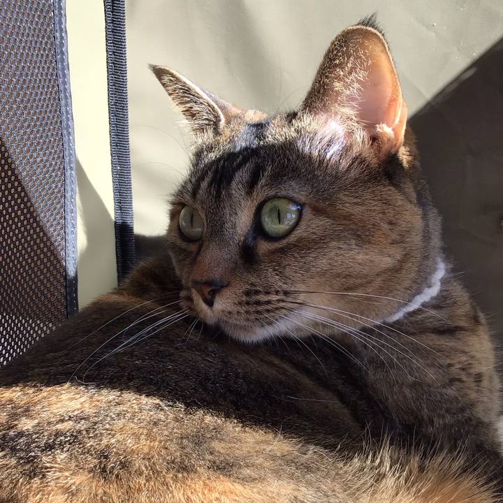 F4bd549d 0f07 48c3 a9cd 6b99d04c3cec 1737866960414