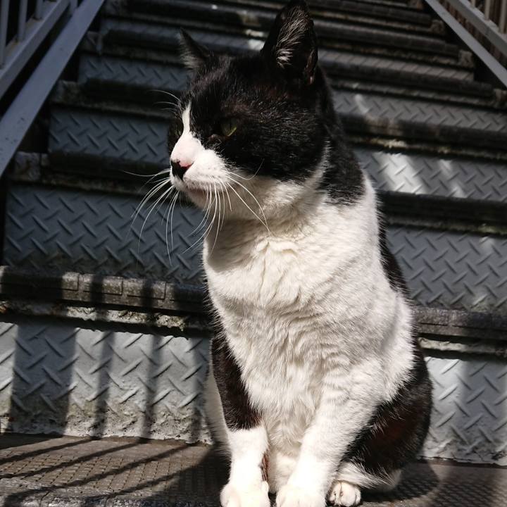 F4bd686f 316d 42b6 b5b0 debd2fb68063 1552177469893