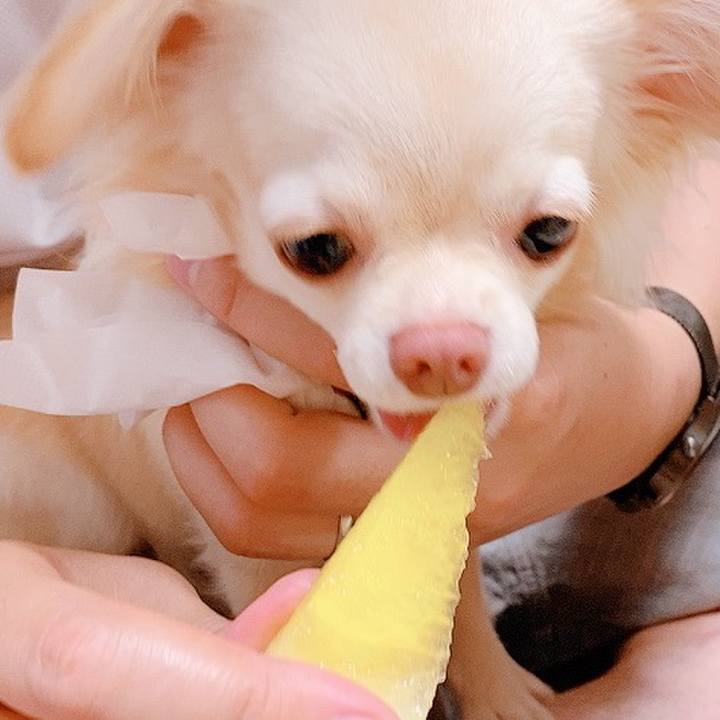 F4bd8b1f 04bb 44dc a83a 5a5d5e5d2dc7 1628423894583