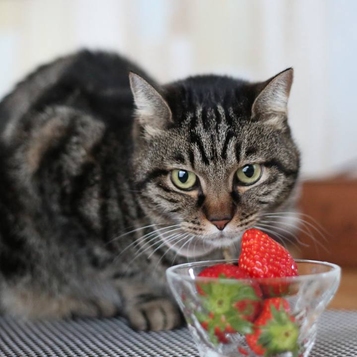 F4bdb8bc c2bd 4f6d bd1f b74934f3850c 1705981219001