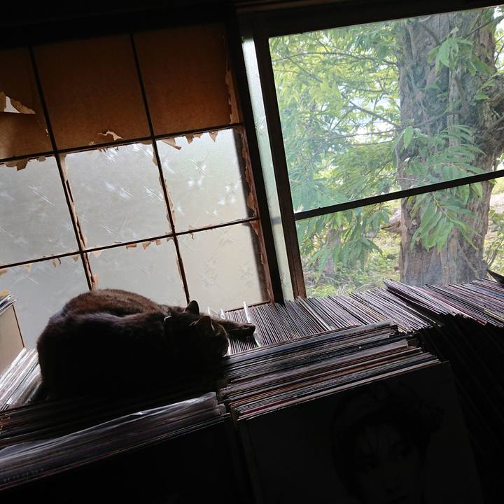 F4bdd846 4477 4d2b b708 5457373e9869 1657093063665