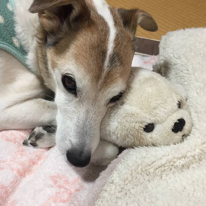 F4bddd7d 1cd6 4079 8e88 7bf53c3236d8 1519547204468