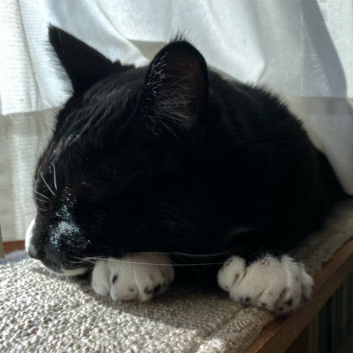 F4bdf1ac 9669 4461 b88c c7879a716cba 1768967400387