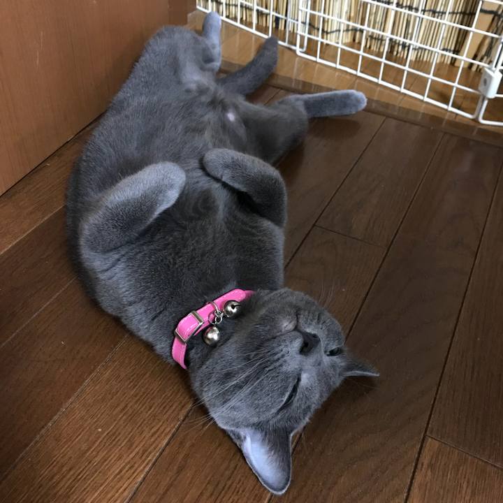 F4be1f60 8bc1 45e6 a2c3 438967e9f517 1531041327693