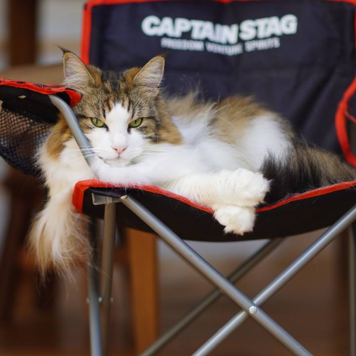 F4be3140 3b8d 4822 9dec 61be959e7cd8 1696483290990