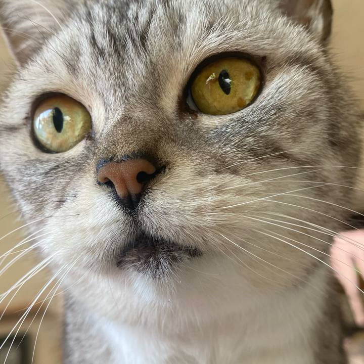 F4be3518 26f2 4f3e bec8 de18b9e84979 1738985384924