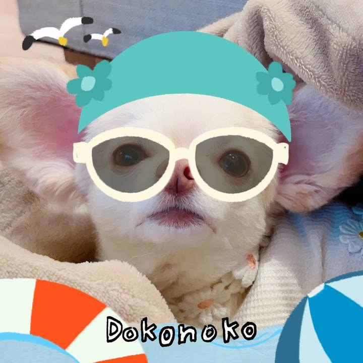 F4be41af da2e 4cba b7b0 ac3bd1b0cb08 1723200145315