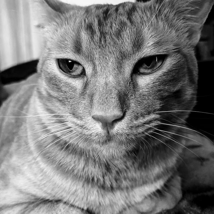 F4be45d1 6acf 4a56 86b4 61fd457cc10a 1623452498552