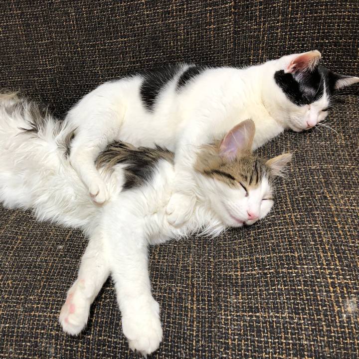 F4be584c ab5e 459d 9879 aeec1242a856 1544023451296