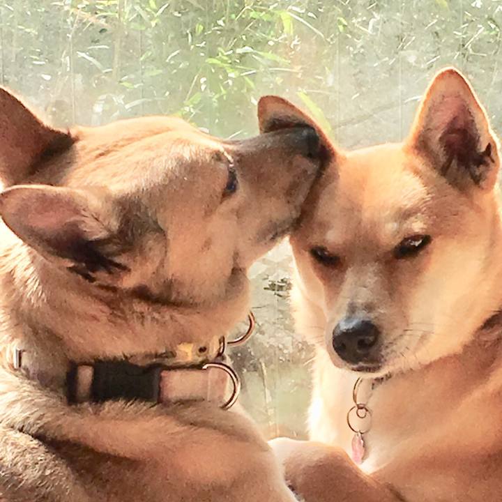 F4be6712 1a62 424e b25c f3ef67d86701 1551570875502