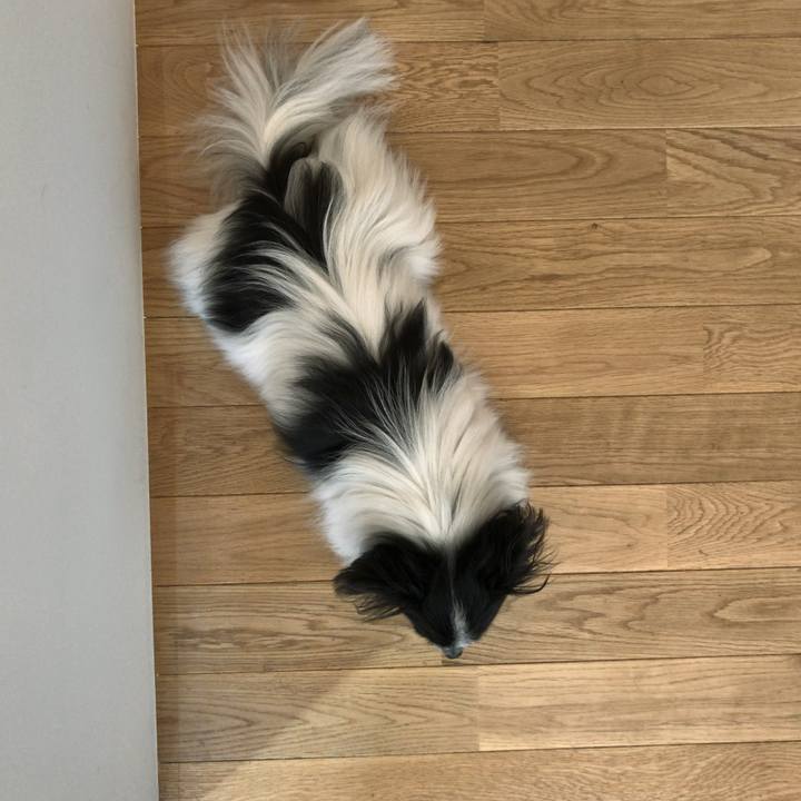 F4be6fa4 8e50 47aa 855f 238f8e24d360 1509967787932