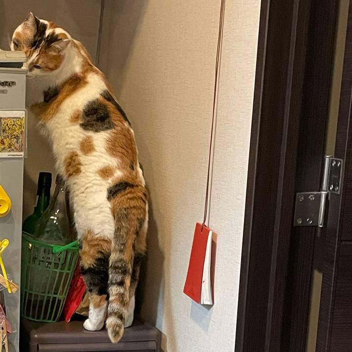 F4be887a b073 48cd 95de b1878483a9bf 1611492255961