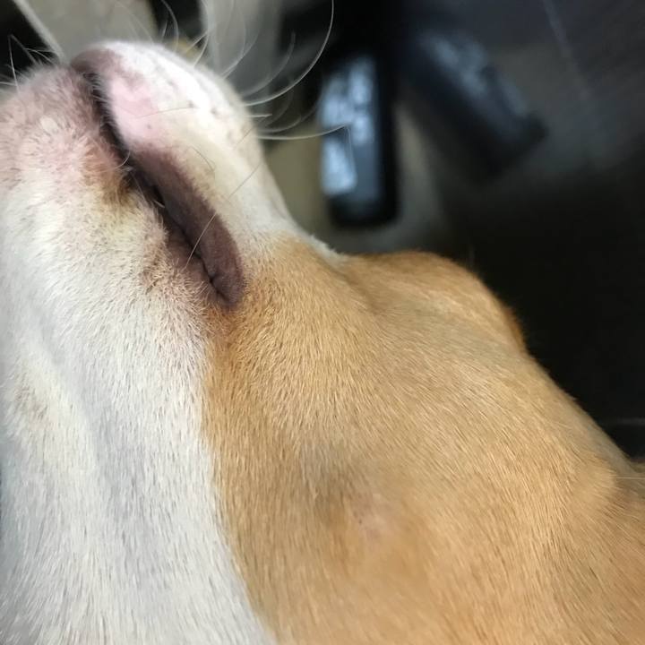 F4bea06b e735 4331 ad82 f04750010da9 1511020847037