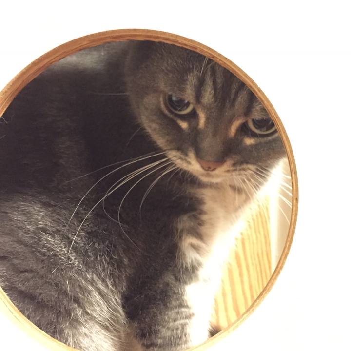 F4bec373 684b 4a02 af34 cb66cc078755 1534772570707