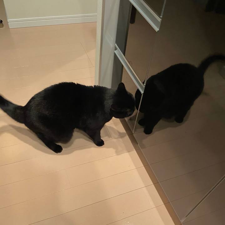 F4bec64b 8b0e 4991 b701 2bc4fefd9696 1605693311036