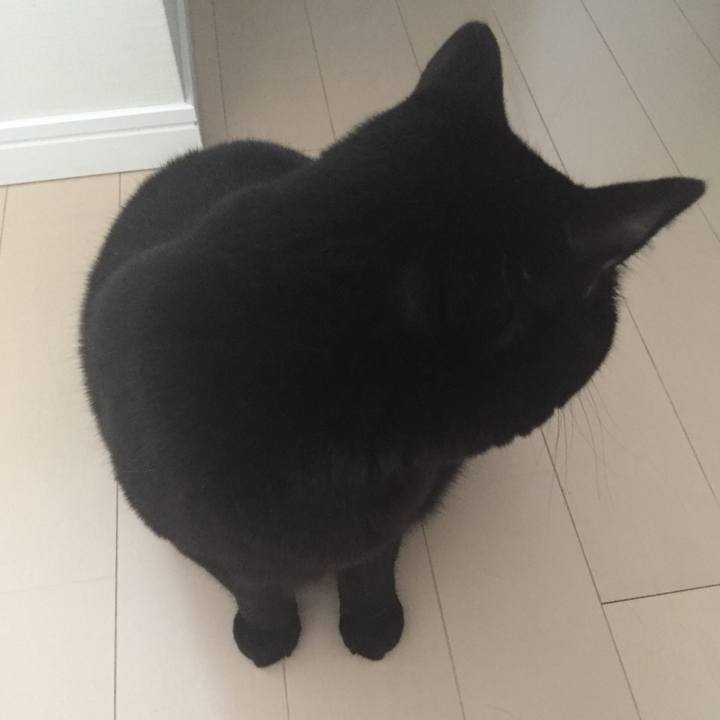 F4bef6ed 2e51 4a2e b6b0 639465832309 1508190893880