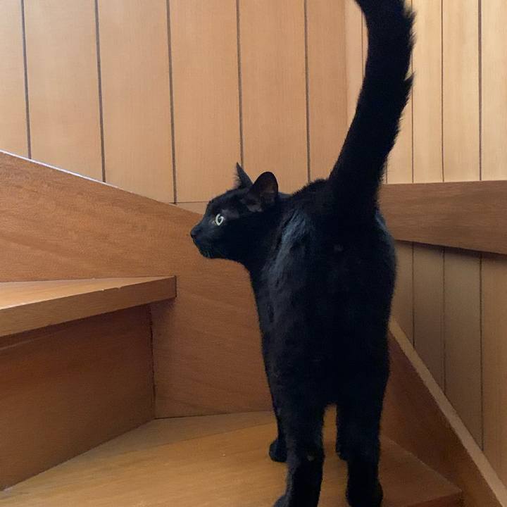 F4bf29a7 6f05 4a5c b63e c50507af1635 1595811081507