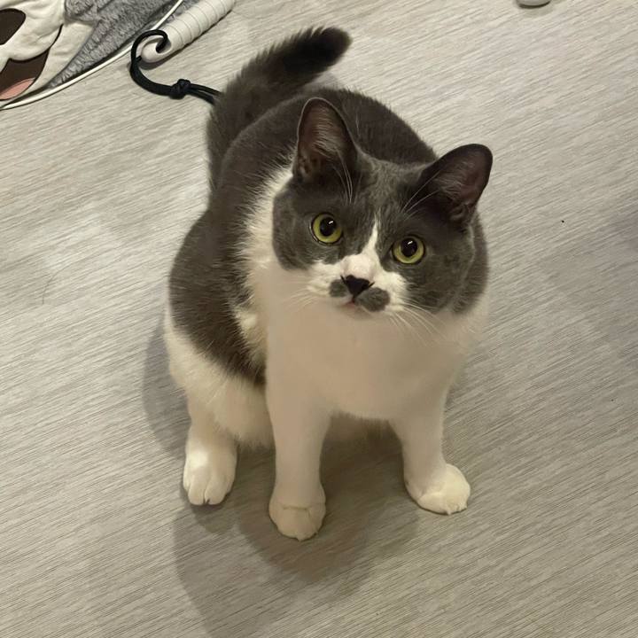 F4bf3289 4c58 472d 912a 85679179312c 1754069409251