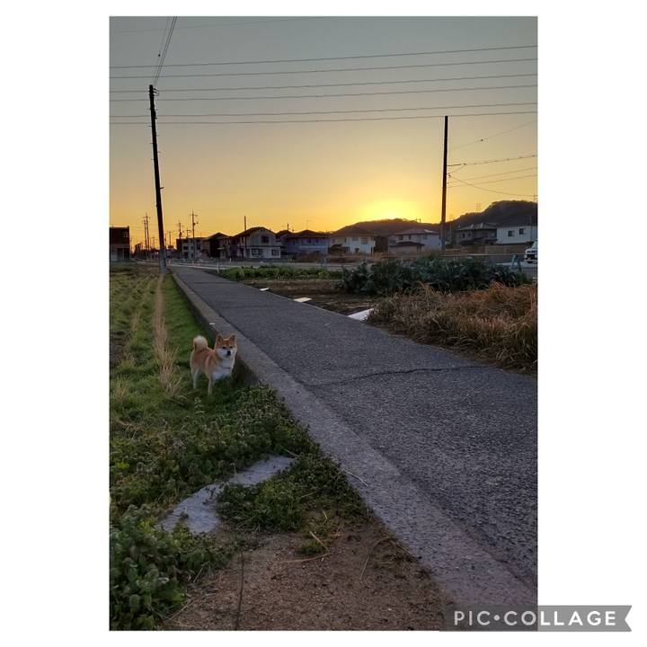 F4bf39a8 8026 4bf0 b41e e92cc8119808 1704070022253