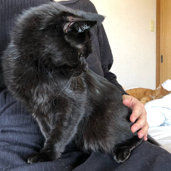 F4bf3b95 ff7f 40bd 9289 b52dfcd65282 1588396813726