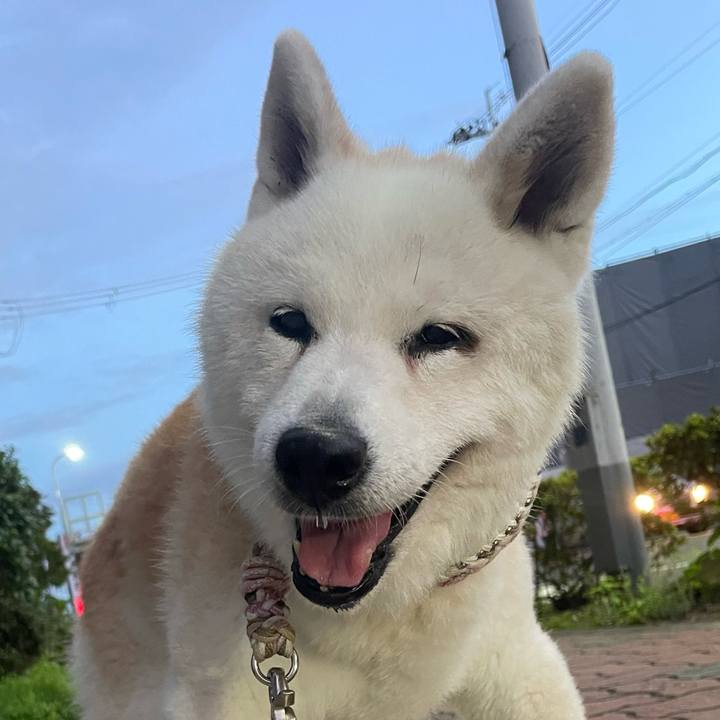 F4bf3fd4 827d 4451 8f37 02fd652b57ac 1758228035102