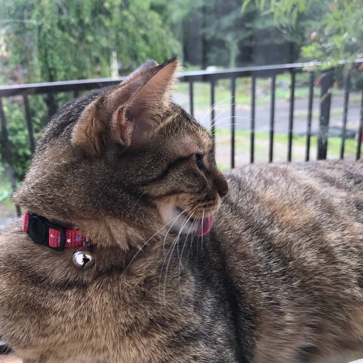 F4bf5658 1468 4554 ad47 8f001828181a 1595811561959