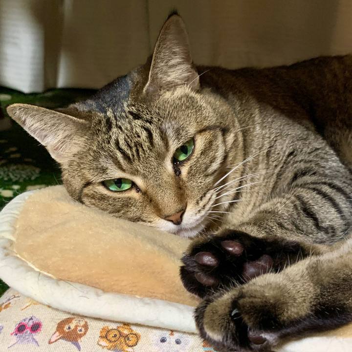 F4bf7e94 a887 4aba b1ff 55ac6ab3fbaf 1598699440040