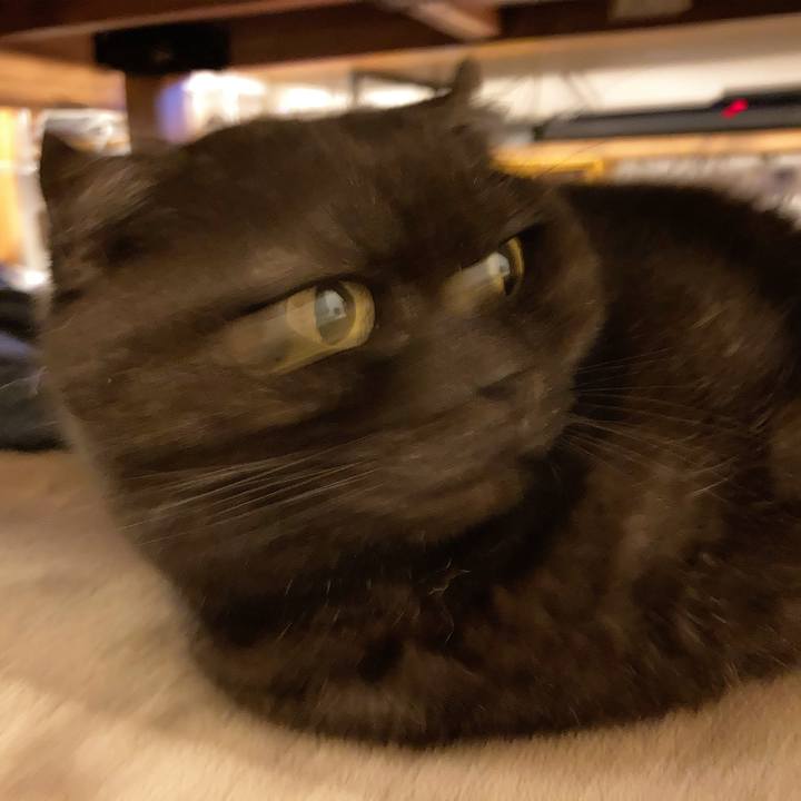 F4bf92eb 3206 4252 826c 1ab9503c6500 1608978000030