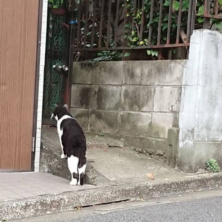 F4bfbb0d 2134 4a03 bf32 1ad09b17c69c 1600244164491