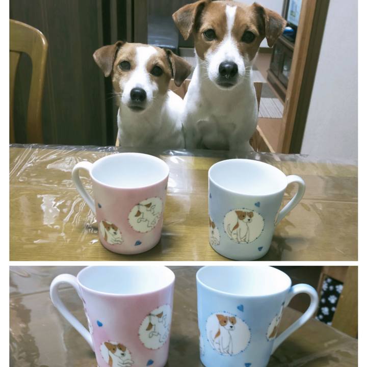 F4bfd5f6 5f61 4a9e 9be0 485297f3eab9 1766826060339