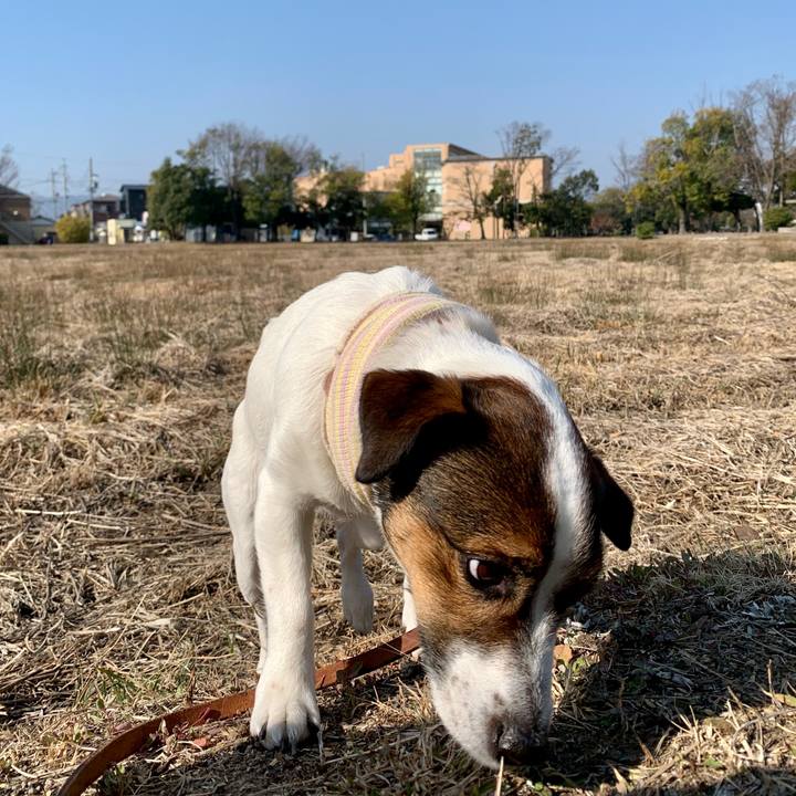 F4bfe1ac 46b4 4bf5 b135 16269412f04e 1613869704640