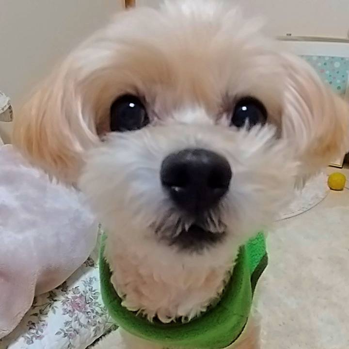 F4bff05c 1d5e 4ea0 ad0e 1a91dfd41d17 1576241539277