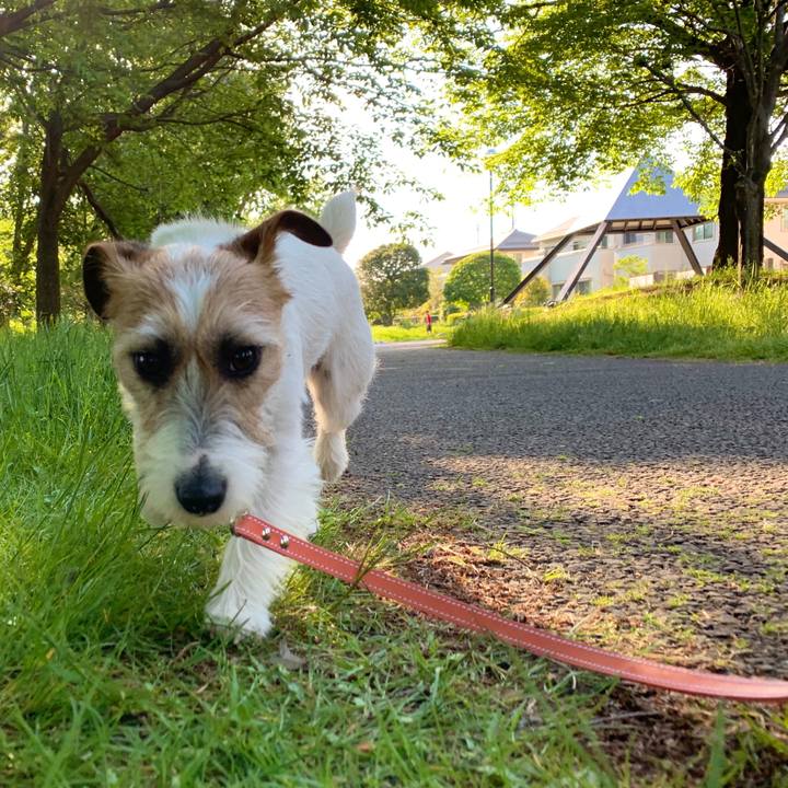 F4c00945 67fa 446c 85f1 b54a797c803e 1588924090999