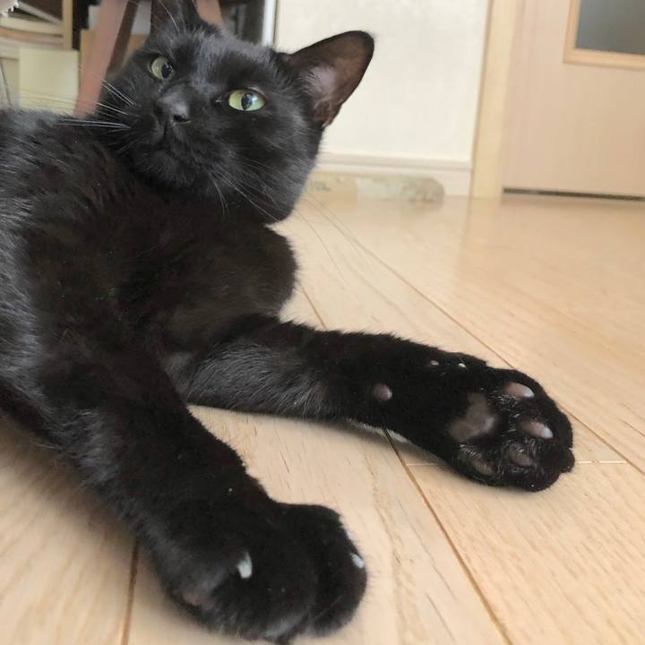 F4c01f27 bc0b 4e53 b988 6cbabde68a27 1514518124796