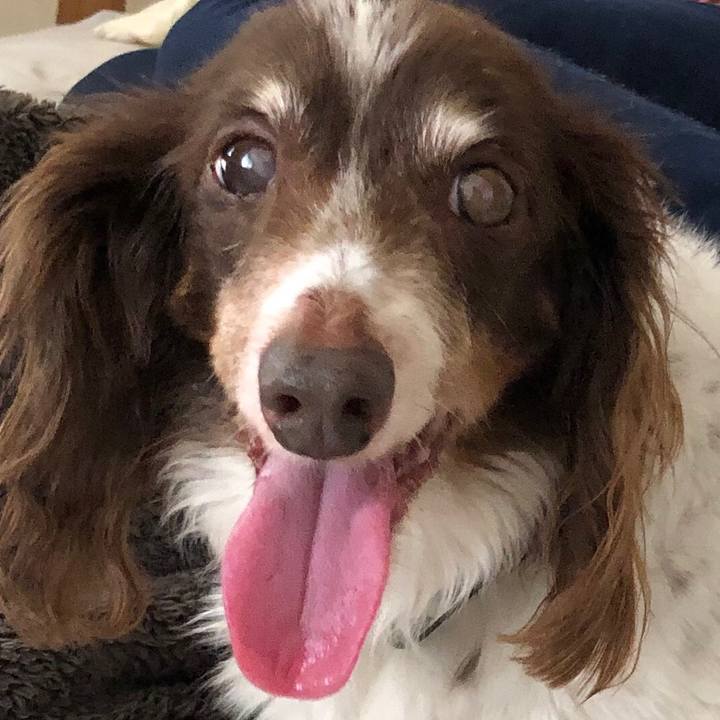 F4c04d41 3dd3 4432 abef e84d4c07f06f 1559302636935