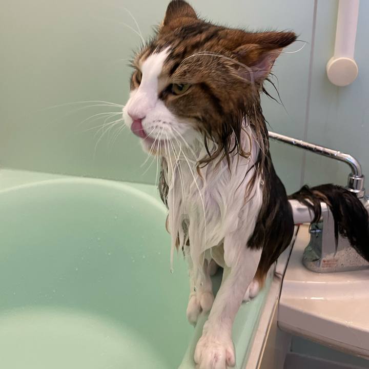 F4c05d58 9c2b 4eee 9da2 c4c64475cf94 1643365641080