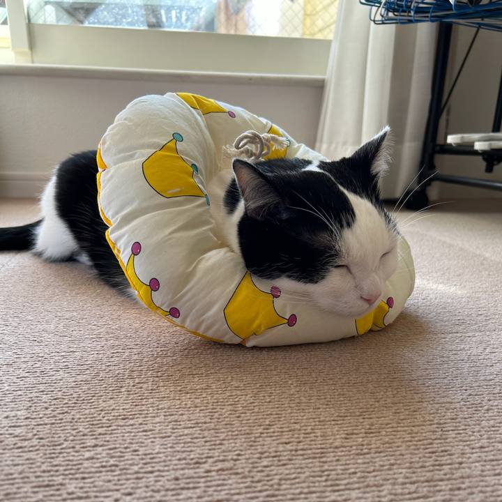 F4c062ce a8a5 419a aba6 03a4066c4b05 1764197343659