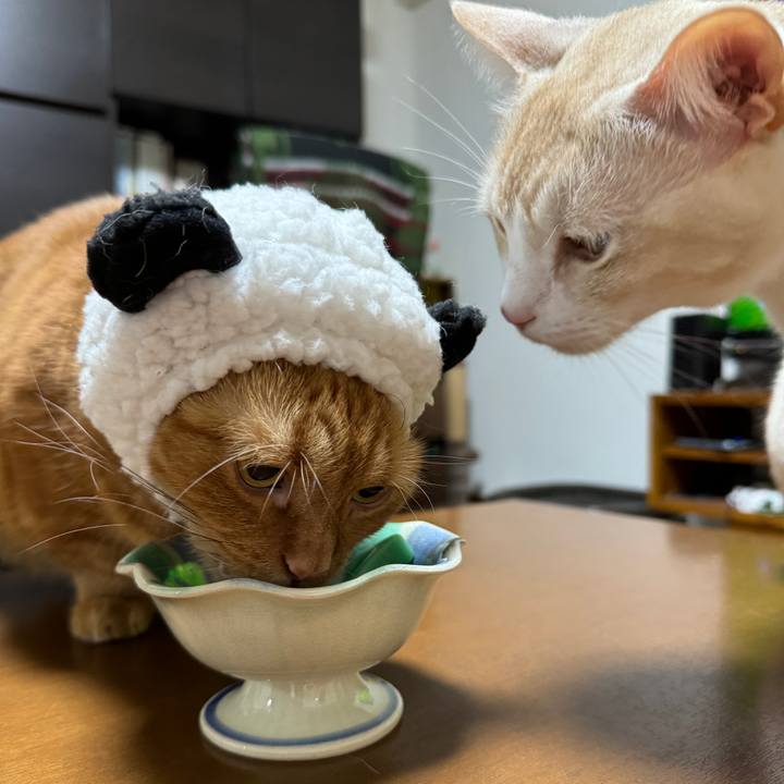 F4c0633c 3aa5 40a0 a6b1 3e2d9f51e5a6 1713877388535